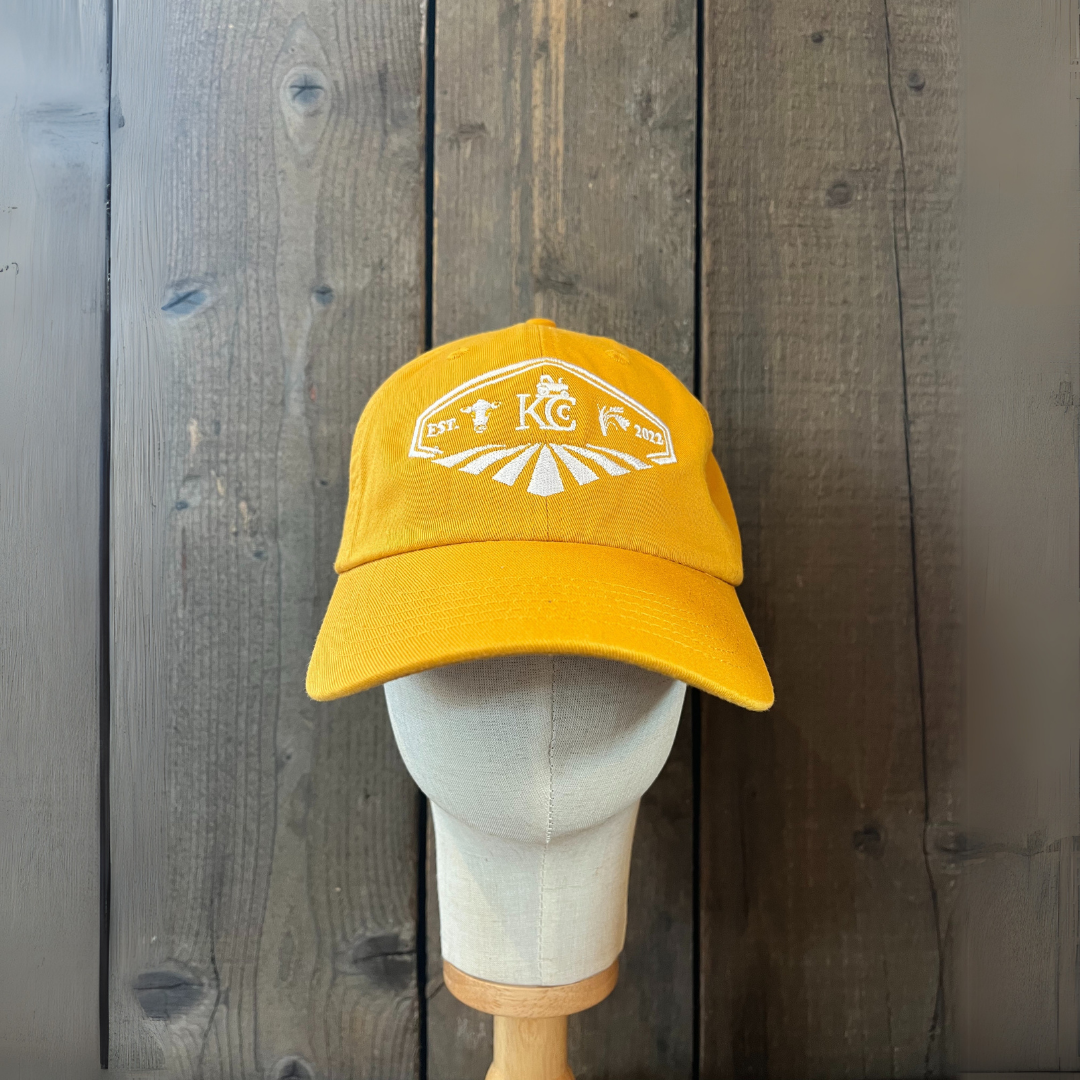 Unstructured Team Cap image 11