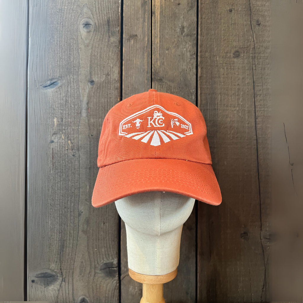 Unstructured Team Cap image 9
